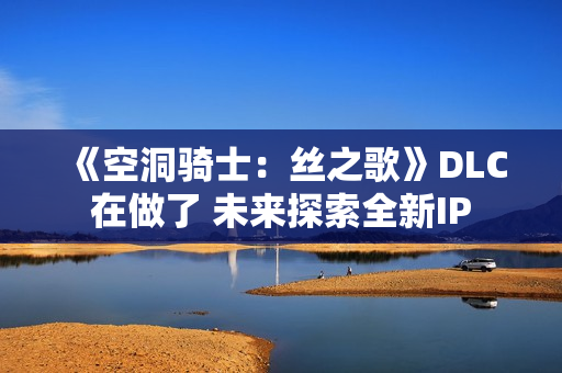 《空洞骑士：丝之歌》DLC在做了 未来探索全新IP
