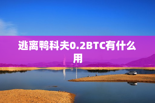 逃离鸭科夫0.2BTC有什么用