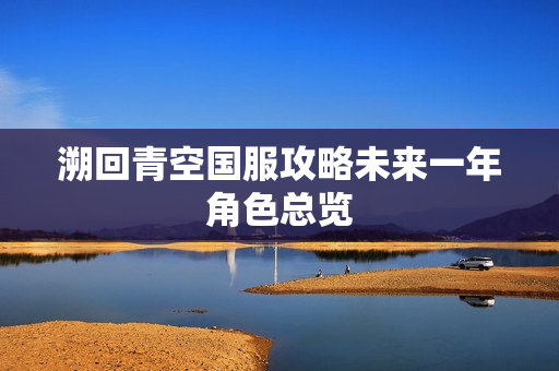 溯回青空国服攻略未来一年角色总览