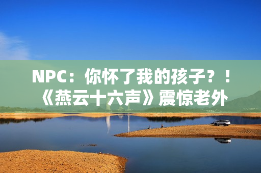 NPC：你怀了我的孩子？！《燕云十六声》震惊老外