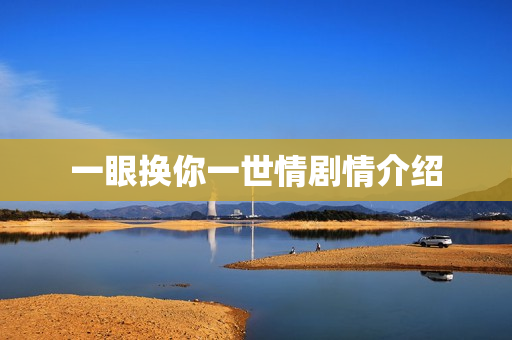 一眼换你一世情剧情介绍 一眼换你一世情剧情介绍