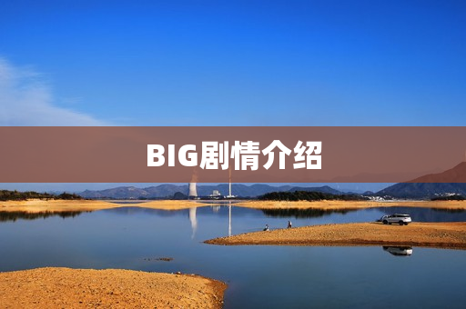 BIG剧情介绍