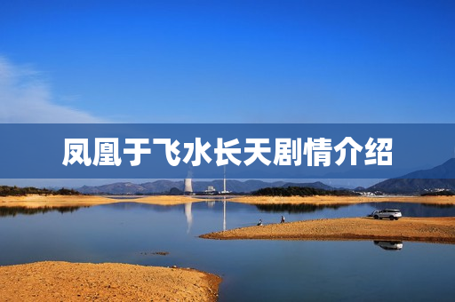 凤凰于飞水长天剧情介绍