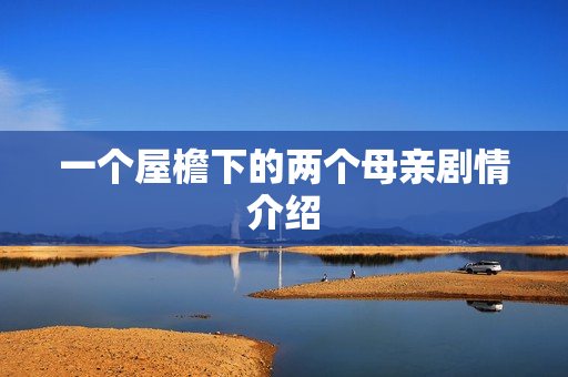 一个屋檐下的两个母亲剧情介绍