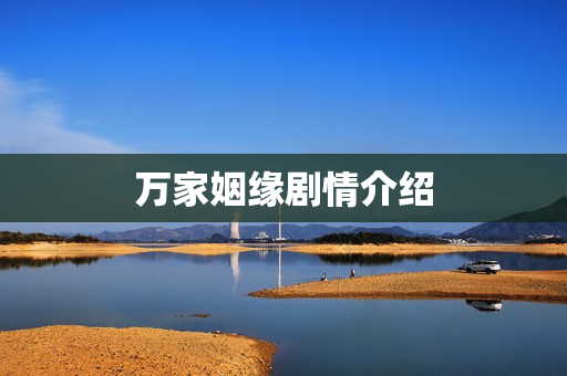 万家姻缘剧情介绍