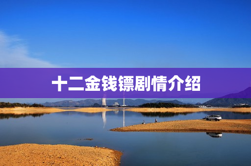 十二金钱镖剧情介绍 十二金钱镖剧情介绍