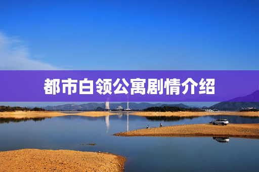 都市白领公寓剧情介绍