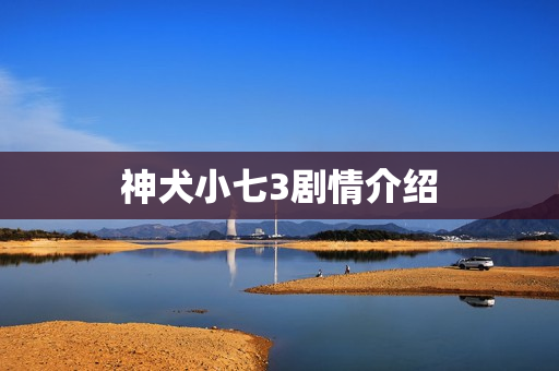 神犬小七3剧情介绍