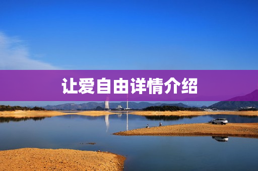 让爱自由详情介绍