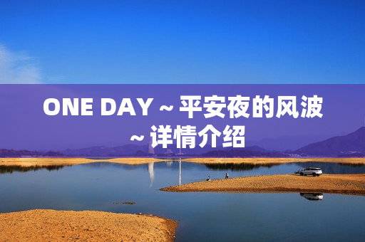 ONE DAY～平安夜的风波～详情介绍