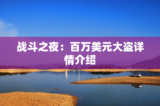 战斗之夜：百万美元大盗详情介绍