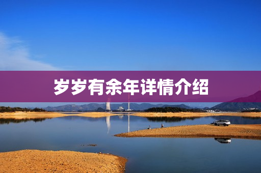 岁岁有余年详情介绍
