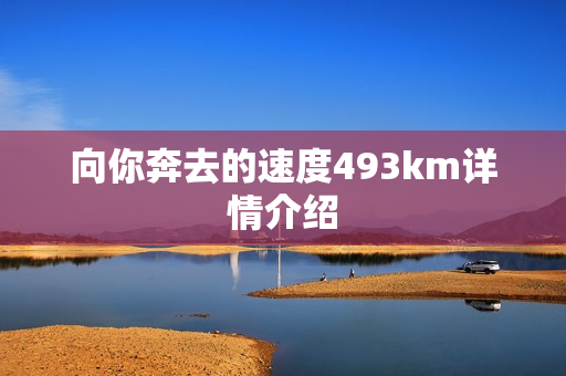 向你奔去的速度493km详情介绍