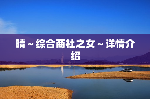 晴～综合商社之女～详情介绍