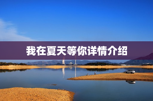 我在夏天等你详情介绍