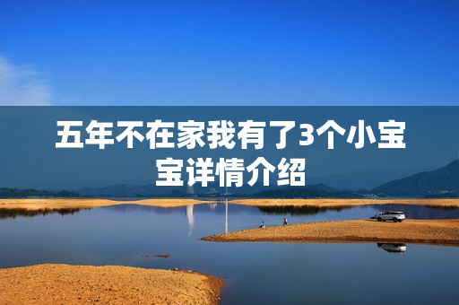 五年不在家我有了3个小宝宝详情介绍