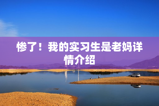 惨了！我的实习生是老妈详情介绍