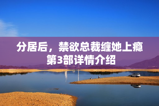 分居后，禁欲总裁缠她上瘾 第3部详情介绍