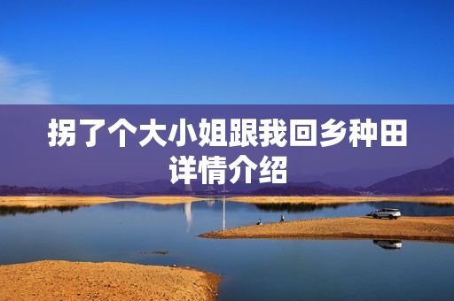 拐了个大小姐跟我回乡种田详情介绍