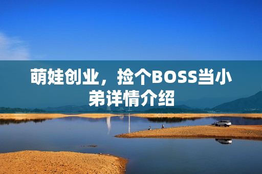 萌娃创业，捡个BOSS当小弟详情介绍