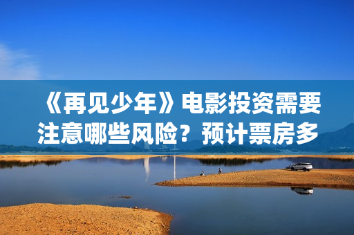 《再见少年》电影投资需要注意哪些风险？预计票房多少？(再见少年电影预告)