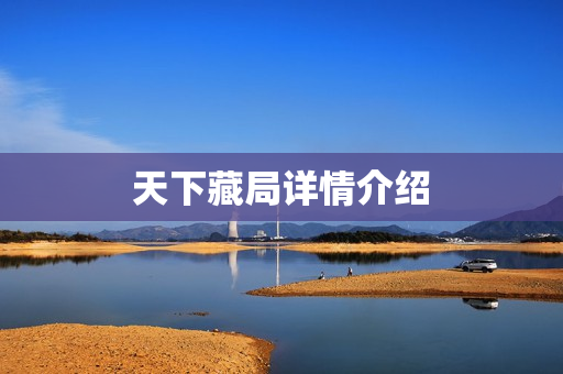 天下藏局详情介绍