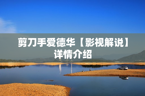 剪刀手爱德华【影视解说】详情介绍