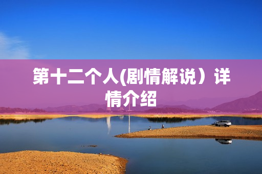 第十二个人(剧情解说）详情介绍
