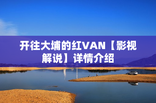 开往大埔的红VAN【影视解说】详情介绍