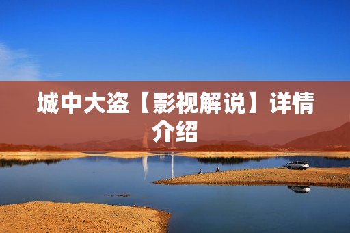 城中大盗【影视解说】详情介绍