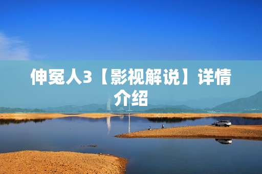 伸冤人3【影视解说】详情介绍