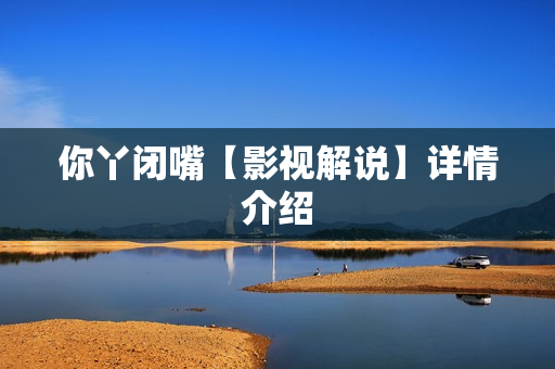 你丫闭嘴【影视解说】详情介绍