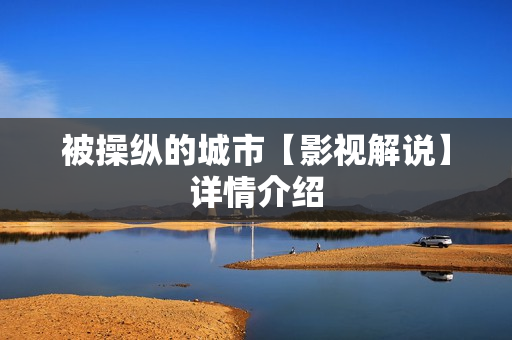 被操纵的城市【影视解说】详情介绍