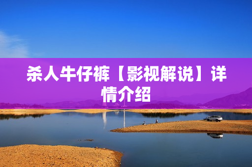 杀人牛仔裤【影视解说】详情介绍