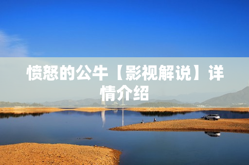 愤怒的公牛【影视解说】详情介绍