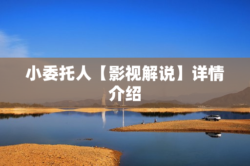 小委托人【影视解说】详情介绍