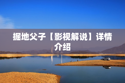 掘地父子【影视解说】详情介绍