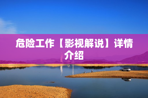 危险工作【影视解说】详情介绍