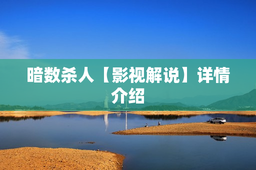 暗数杀人【影视解说】详情介绍