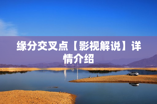 缘分交叉点【影视解说】详情介绍