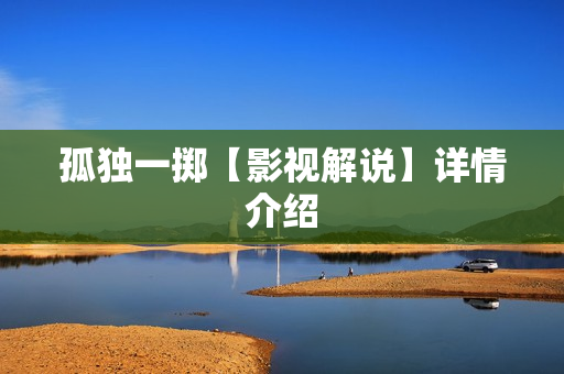 孤独一掷【影视解说】详情介绍