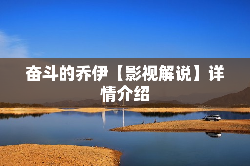 奋斗的乔伊【影视解说】详情介绍 奋斗的乔伊【影视解说】详情介绍