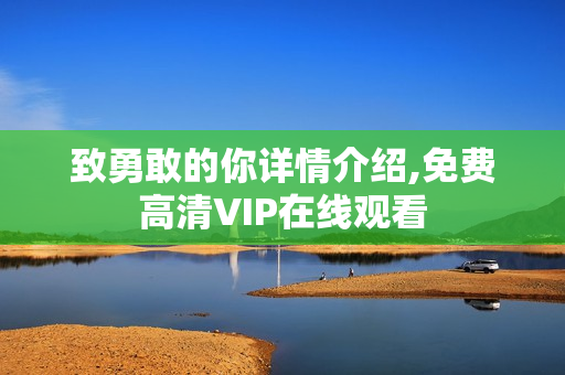 致勇敢的你详情介绍,免费高清VIP在线观看