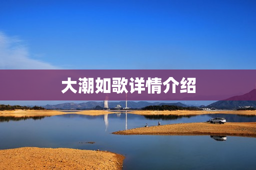 大潮如歌详情介绍