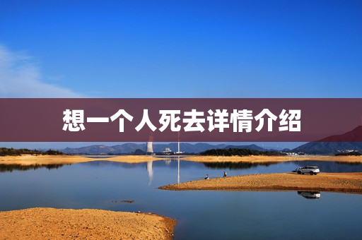 想一个人死去详情介绍