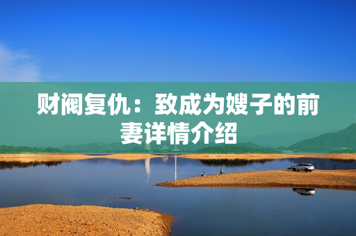 财阀复仇:致成为嫂子的前妻详情介绍 财阀复仇:致成为嫂子的前妻详情介绍