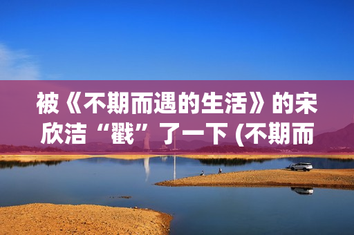 被《不期而遇的生活》的宋欣洁“戳”了一下 (不期而遇的作者)