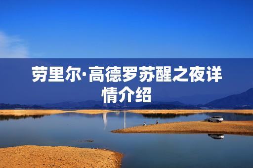 劳里尔·高德罗苏醒之夜详情介绍