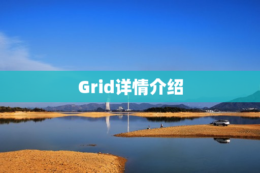Grid详情介绍