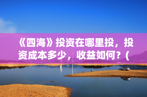 《四海》投资在哪里投，投资成本多少，收益如何？(《四海》预告片)